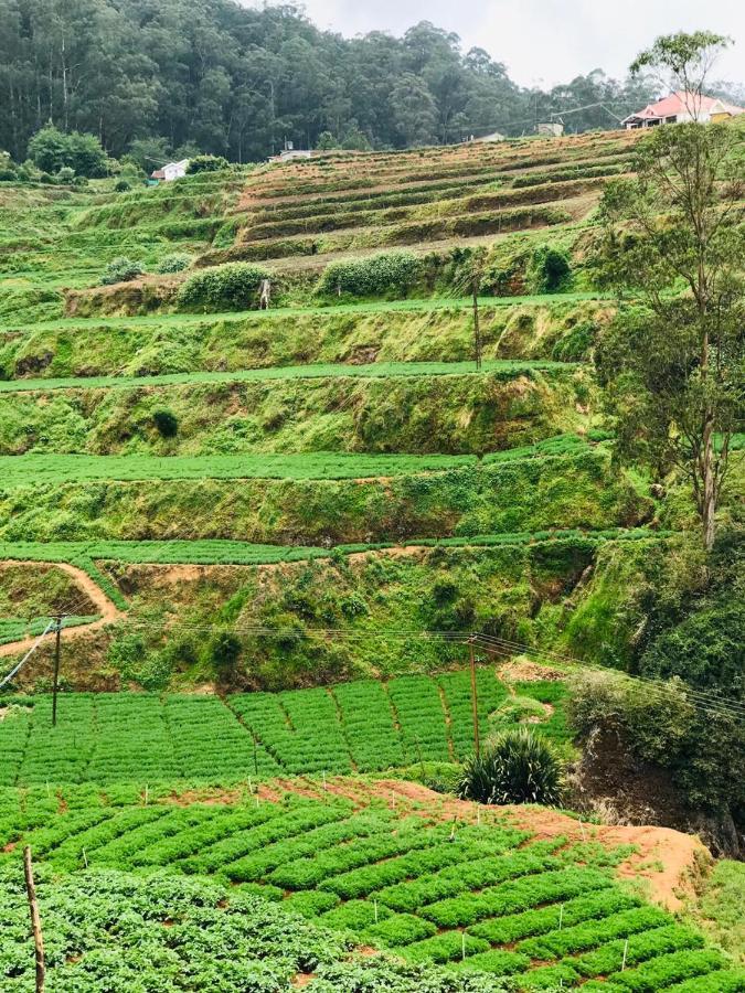 Mountain View Cottage Ooty Exteriér fotografie