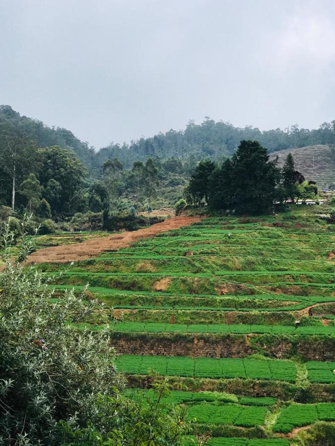 Mountain View Cottage Ooty Exteriér fotografie
