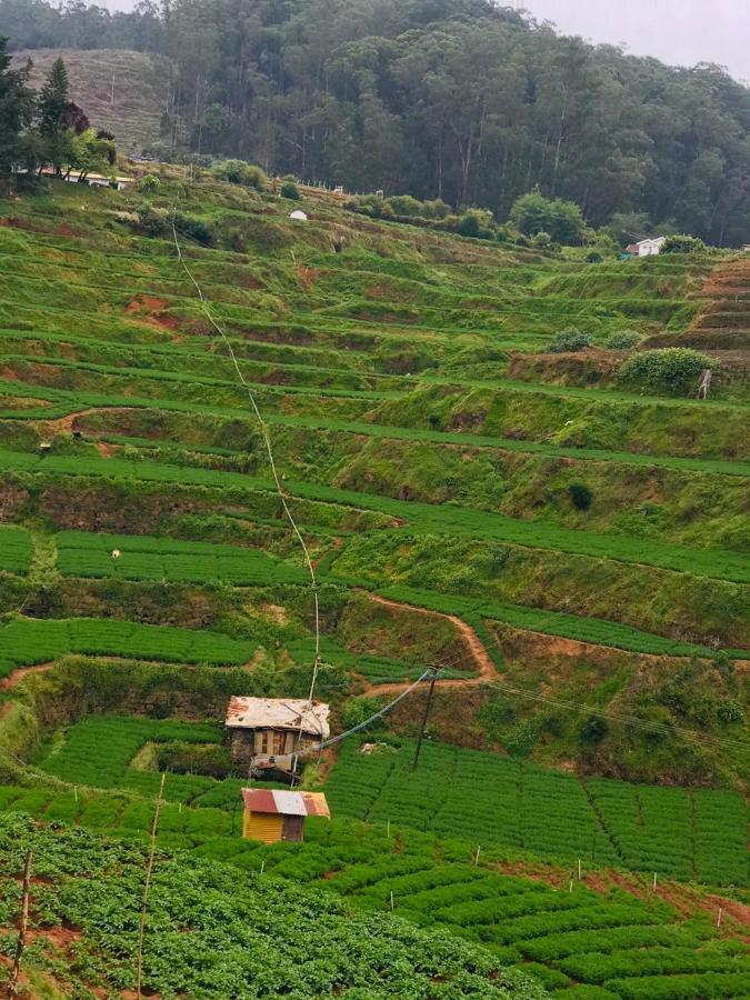 Mountain View Cottage Ooty Exteriér fotografie