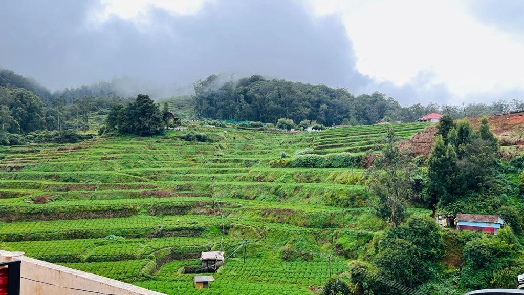 Mountain View Cottage Ooty Exteriér fotografie